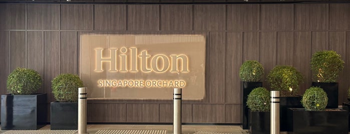 Hilton Singapore Orchard is one of Singapore.