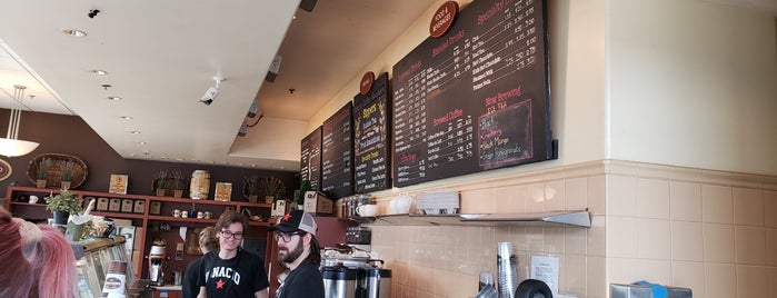 Marin Coffee Roasters is one of cafes with potential.