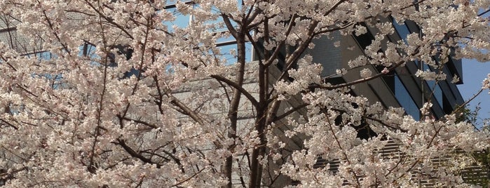 花京院緑地 is one of 公園.