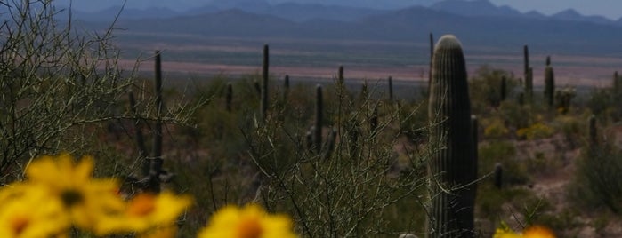 Saguaro National Park West is one of AZ.