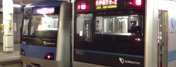 Karakida Station (OT07) is one of 終着駅.
