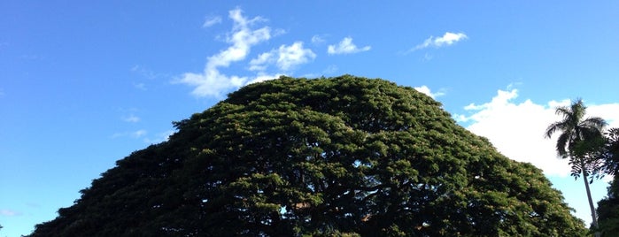 Moanalua Botanical Gardens is one of Honolulu.