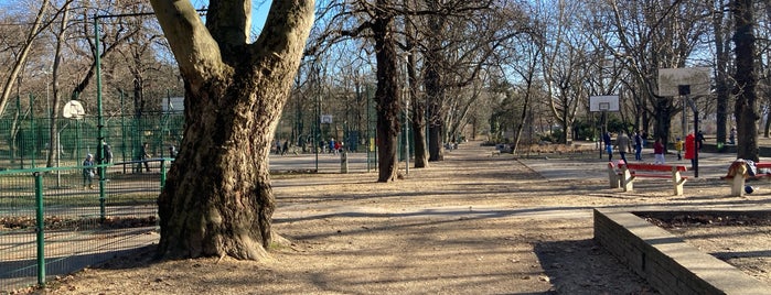 Városmajor is one of Must-visit Parks in Budapest.