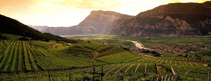 Strada del Vino e dei Sapori Trento Valsugana is one of #saporidelbenessere.