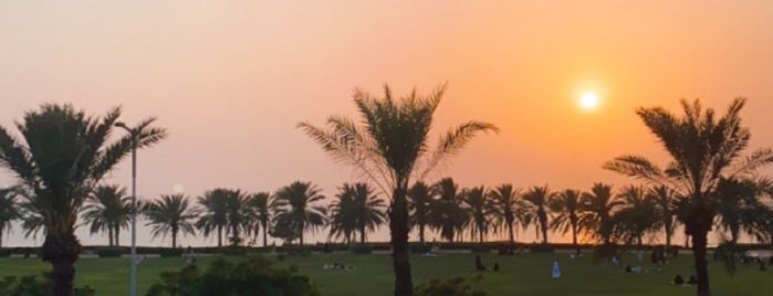 BayLaSan Park is one of Jeddah.