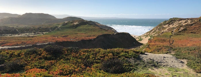Fort Ord Dunes State Park is one of Douglas : понравившиеся места.