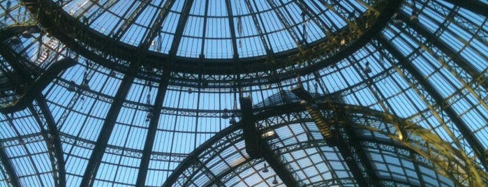 Grand Palais is one of paris list.