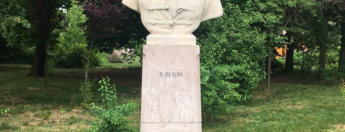 Statuie Petöfi Sándor is one of Бухарест.