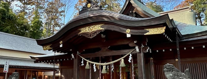 Hisaizu shrine is one of 梅巡り.