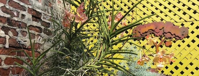 American Aquatic Gardens is one of orleans.