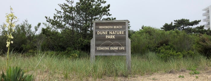 Dune Nature Park is one of DC/Mid-Atlantic to-do.