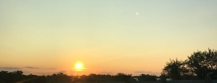 Belt Parkway at Exit 17 is one of สถานที่ที่ Lizzie ถูกใจ.