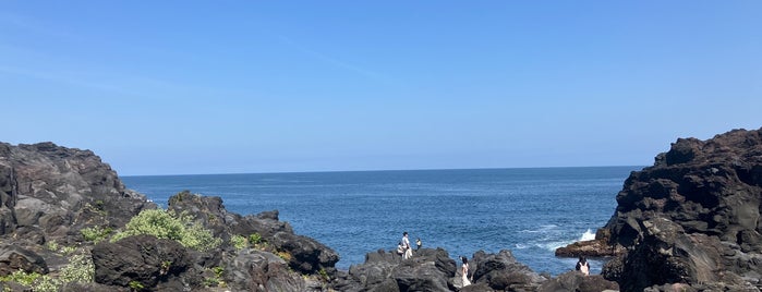 Jogasaki Coast is one of 伊豆.