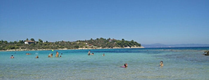 latoura beach is one of Halkidiki.