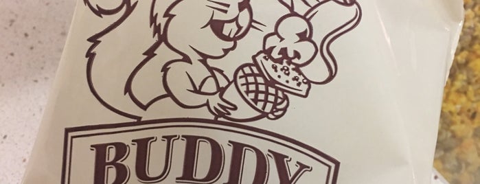 Buddy Squirrel is one of Locais curtidos por Gail.