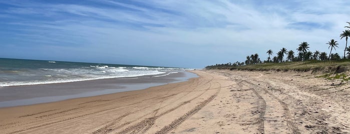 Praia de Subaúma is one of Baía de Todos os Santos.