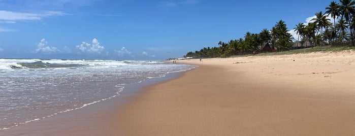Praia de Imbassaí is one of ahhas.
