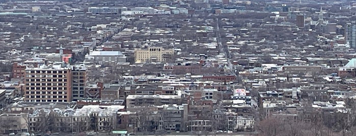 Belvédère Camillien-Houde is one of Montreal to see.