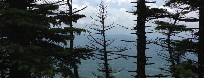 Mt Abraham is one of Vermont Road Trip.