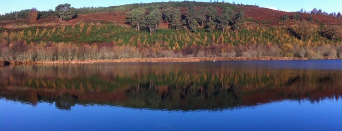 Loch Kinellan is one of To see in Scotland.