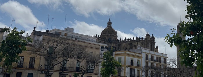 Catedral de San Salvador is one of Top 11 places to visit in Jerez.