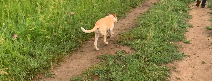 Standley Lake Regional Park is one of Lugares favoritos de Debbie.