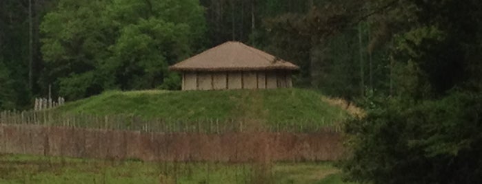 Town Creek Indian Mound is one of North Carolina National Historic Landmarks.