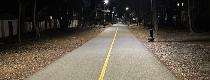 Grove-Cedar Bike Path is one of Gone 2.