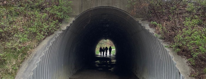 Battle Road Trail is one of Boston To Do.