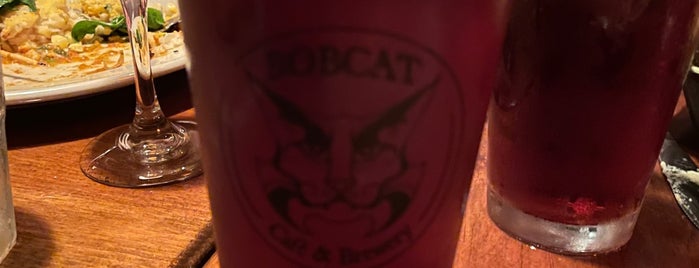 Bobcat Cafe & Brewery is one of Visit to Janet.