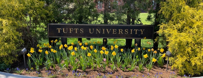 Tufts University is one of To visit boston.