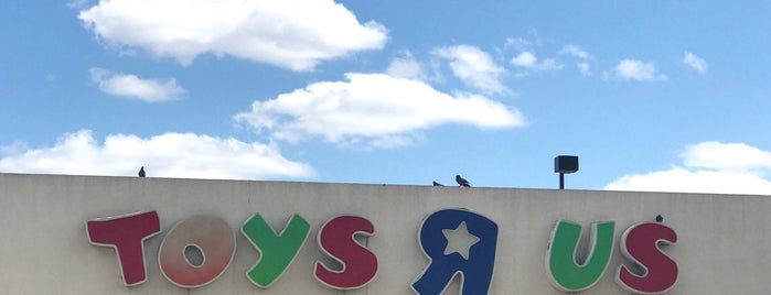 Toys"R"Us is one of The Next Big Thing.