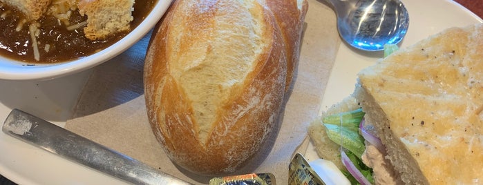 Panera Bread is one of Favorite Restaurants in Lone Tree, CO.