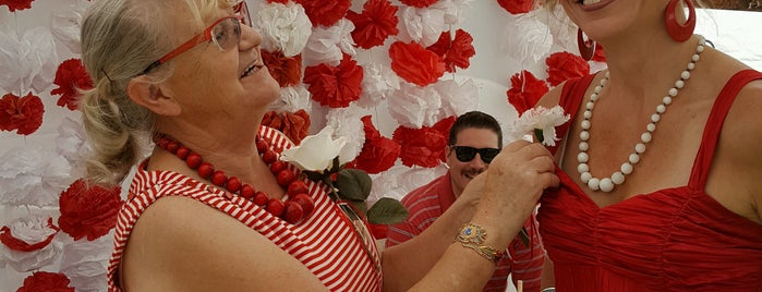 Polish Festival is one of Venues.