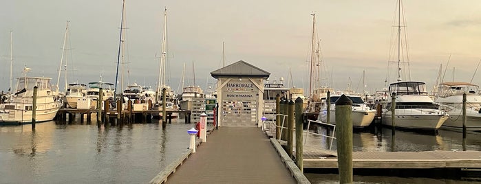 Harborage Yacht Club & Marina is one of Florida.