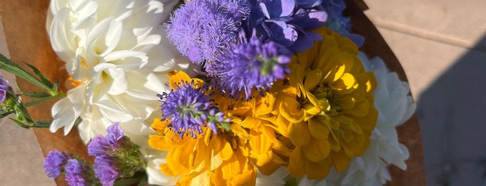 Hyde Park Farmers Market is one of Cincinnati.