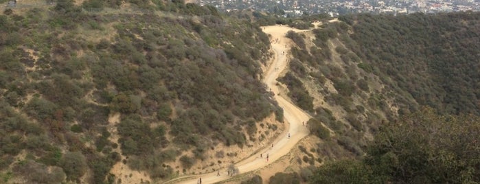 Runyon Canyon Park is one of Upper Nichols Canyon with Merrin Dungey.