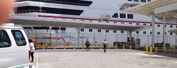 Carnival Liberty Ship is one of Been There, Done That.