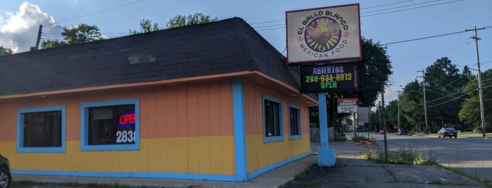 El Gallo Blanco is one of Other Restaurants in Kalamazoo.