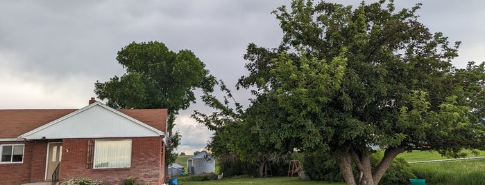 Napoleon Dynamite's House is one of Things To Do.