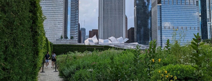 Lurie Garden is one of Chicago Bucket List.
