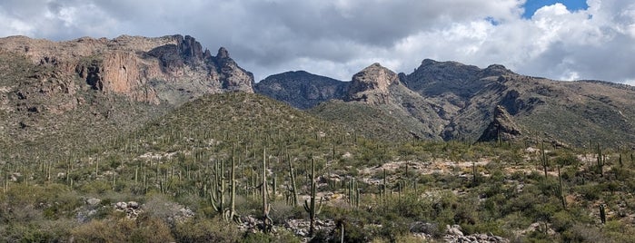 Finger Rock Trail is one of Favorite Hiking Trails in Tucson, AZ.