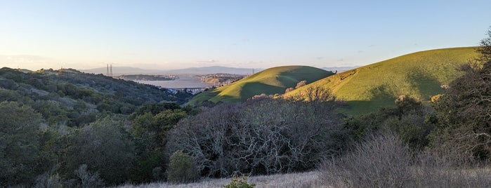 Crockett Hills Regional Park is one of To Do: Great Outdoors.