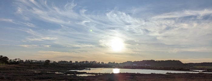 John F. Kennedy Park is one of Napa.