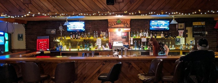 Delaney's Pub is one of Watering Holes.