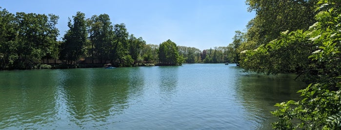 Roseraie du Parc de la Tête d'Or is one of Lyon.