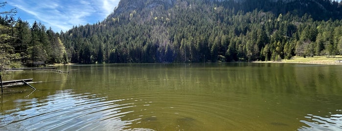 Pflegersee is one of garmish.