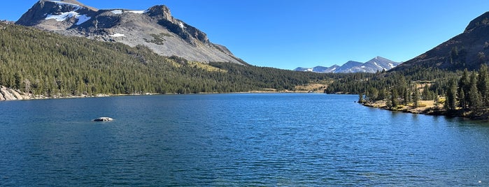 Tioga Pass is one of U.S.A. Summer 2019.