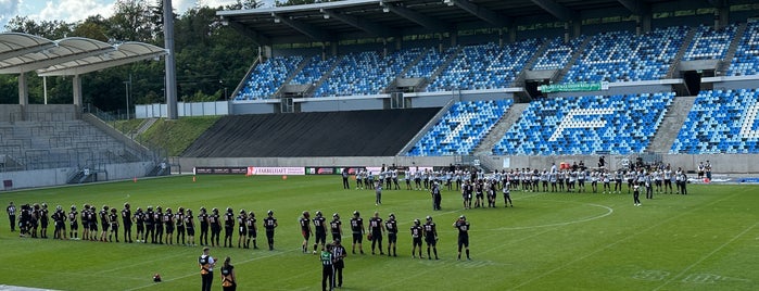 Ludwigsparkstadion is one of Privat.