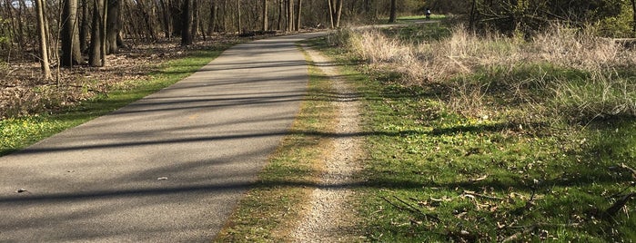 Cook County Forest Preserve Trail is one of Forest Preserves.